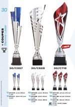 PAGE 030 - GAMME LASER