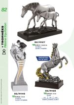 PAGE 082 - TROPHEES EQUITATION
