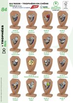 PAGE 084 TROPHEES EN BOIS